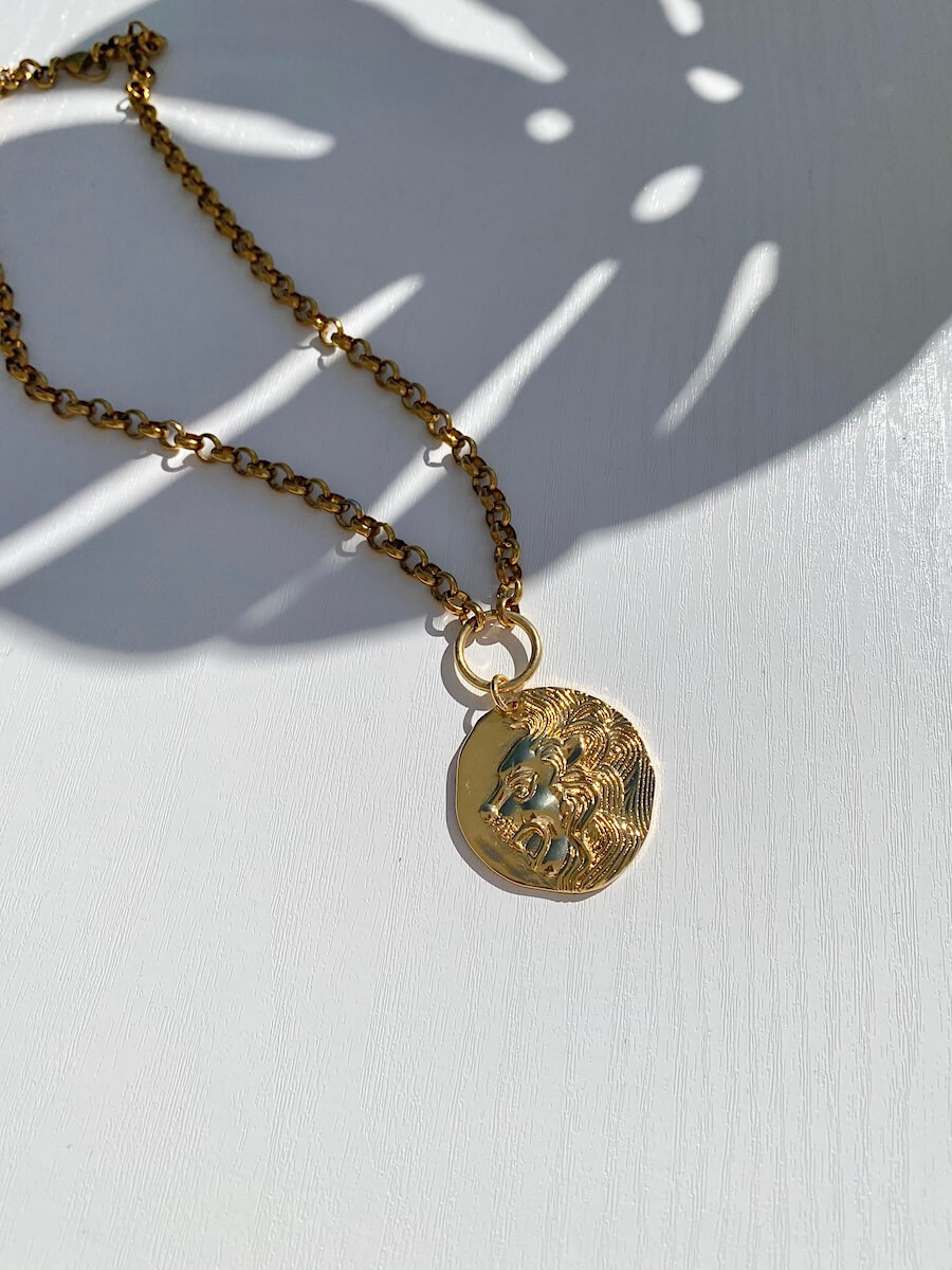 Lion Medallion Rolo Necklace